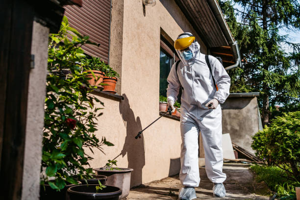 Best Affordable Pest Control Services  in Albany, MN