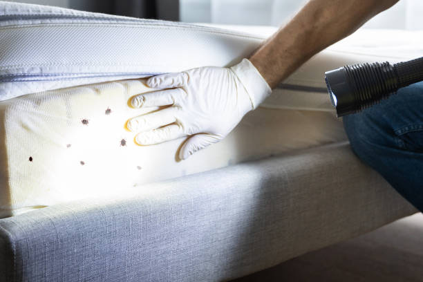 Pest Control Cost in Albany, MN