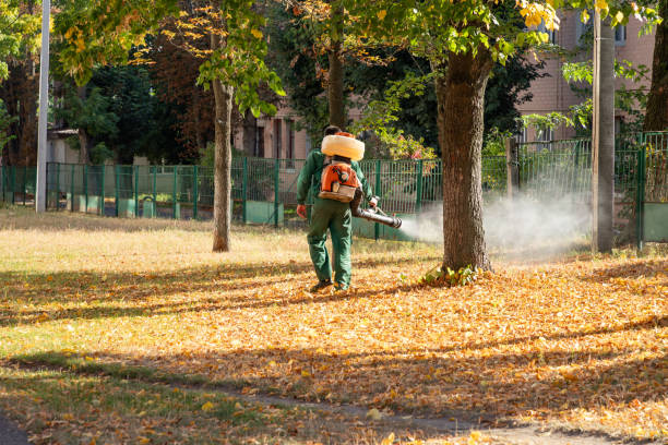 Best Exterminator Services  in Albany, MN